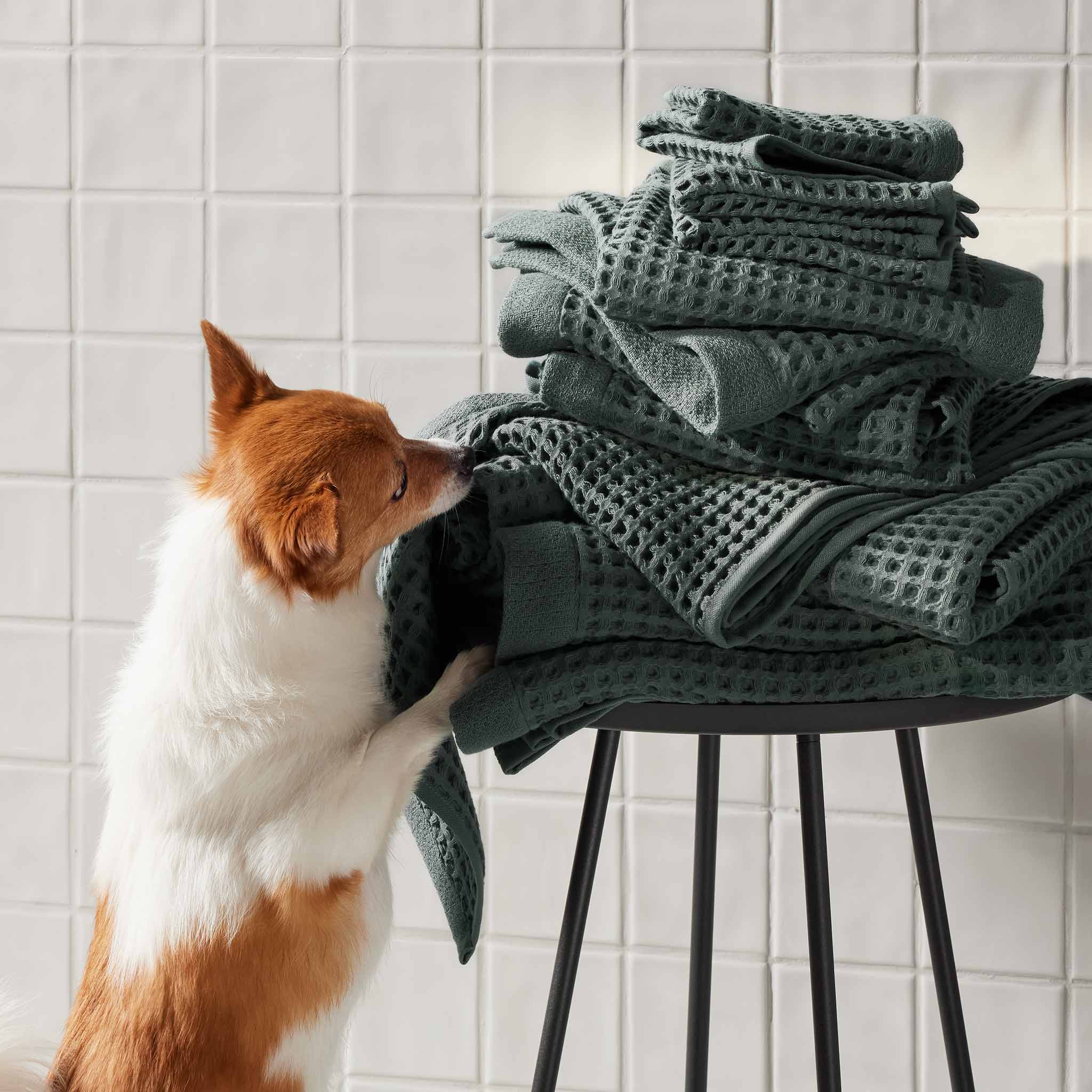 Dreamweave Waffle Bath Towels Set of 2 R0