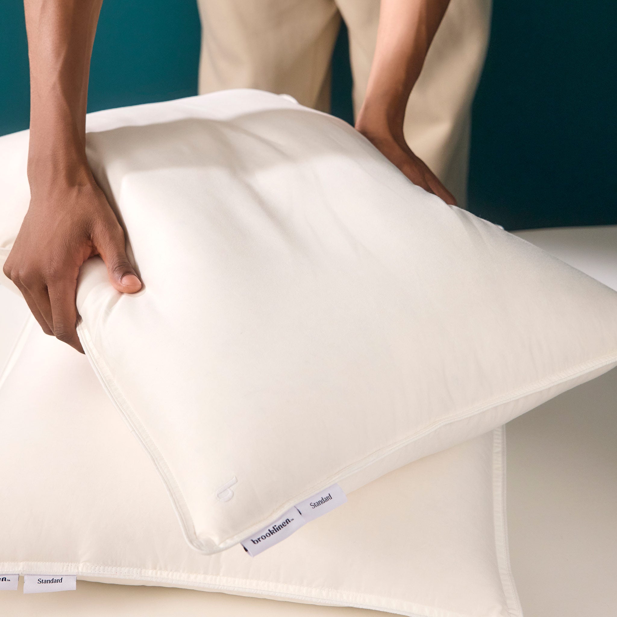 Down Pillow A9