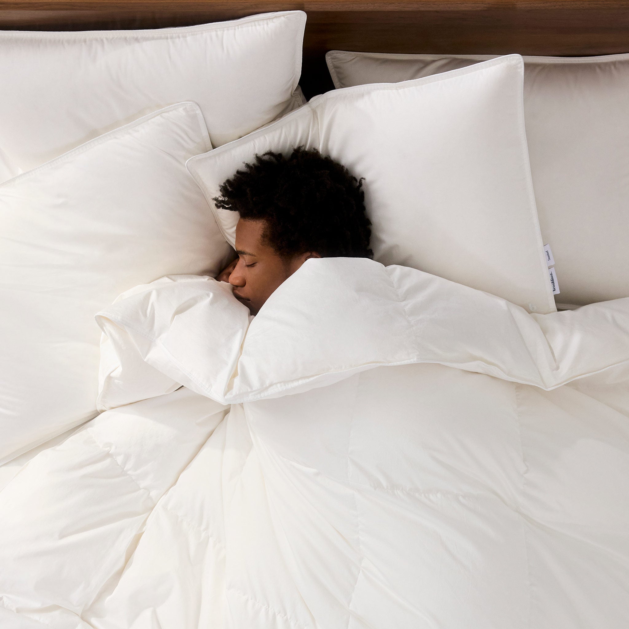 Down Pillow A9