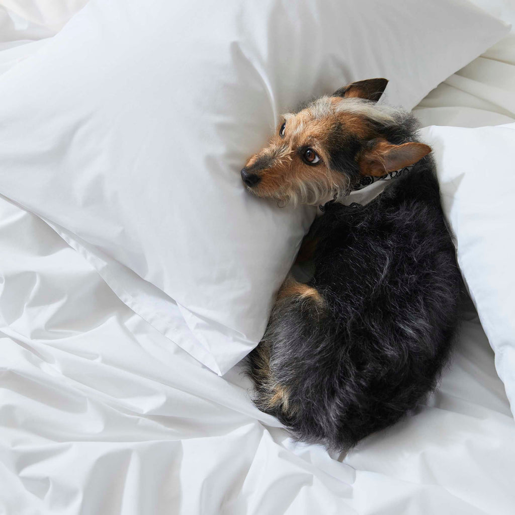 Classic Percale Duvet Cover V6