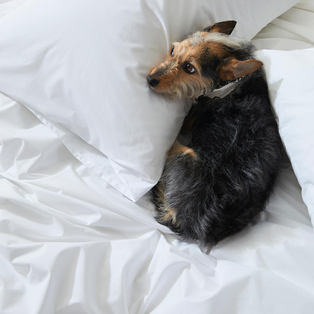 Classic Percale Core Sheet Set X9